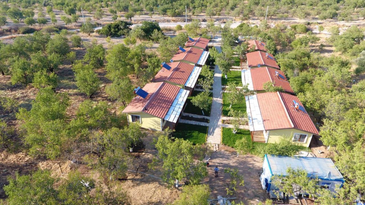 Hotel Selerdoga Evleri à Palamutbuku Extérieur photo