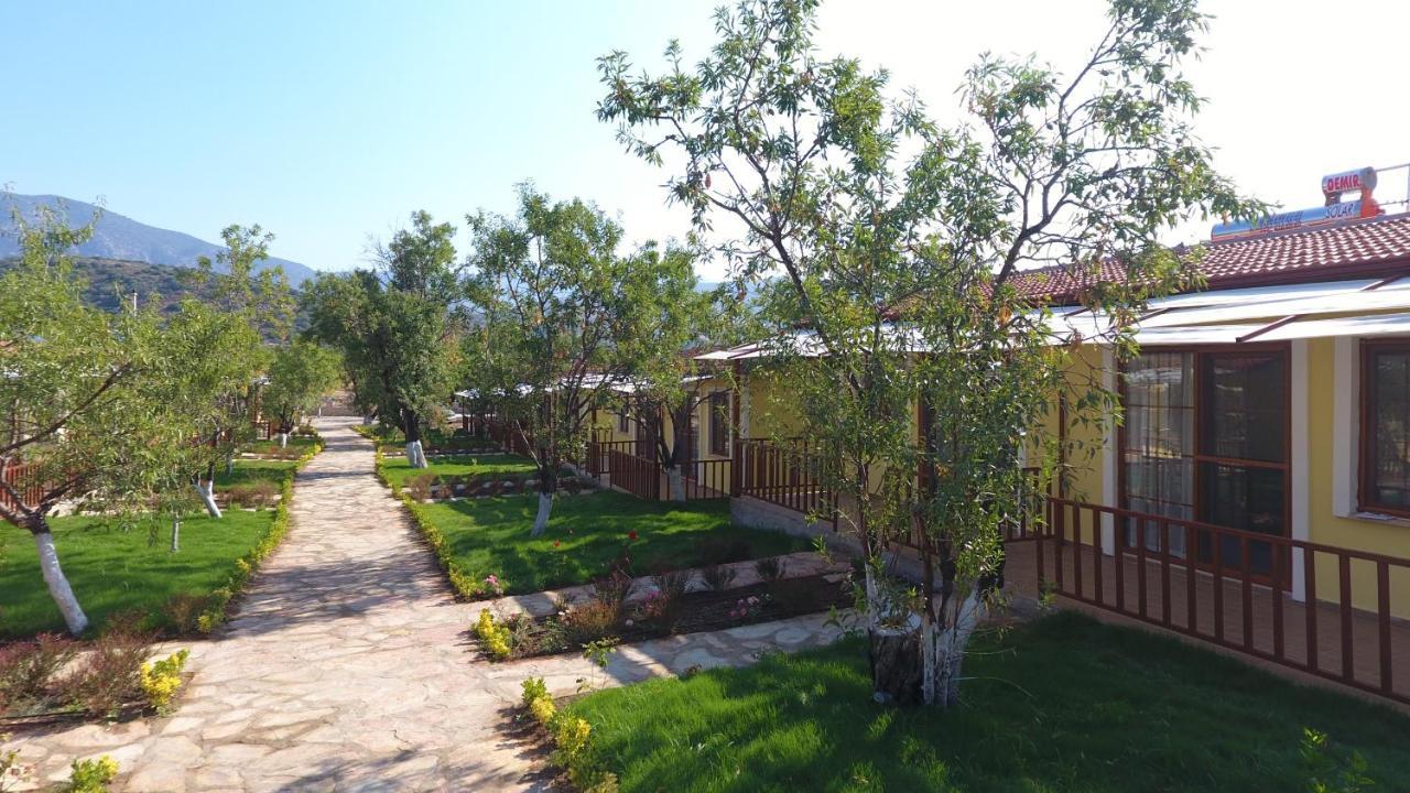 Hotel Selerdoga Evleri à Palamutbuku Extérieur photo