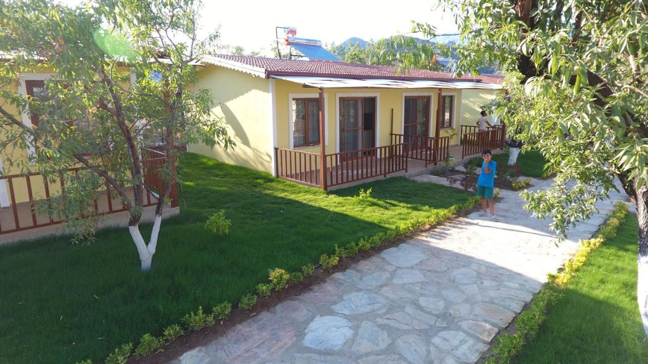 Hotel Selerdoga Evleri à Palamutbuku Extérieur photo