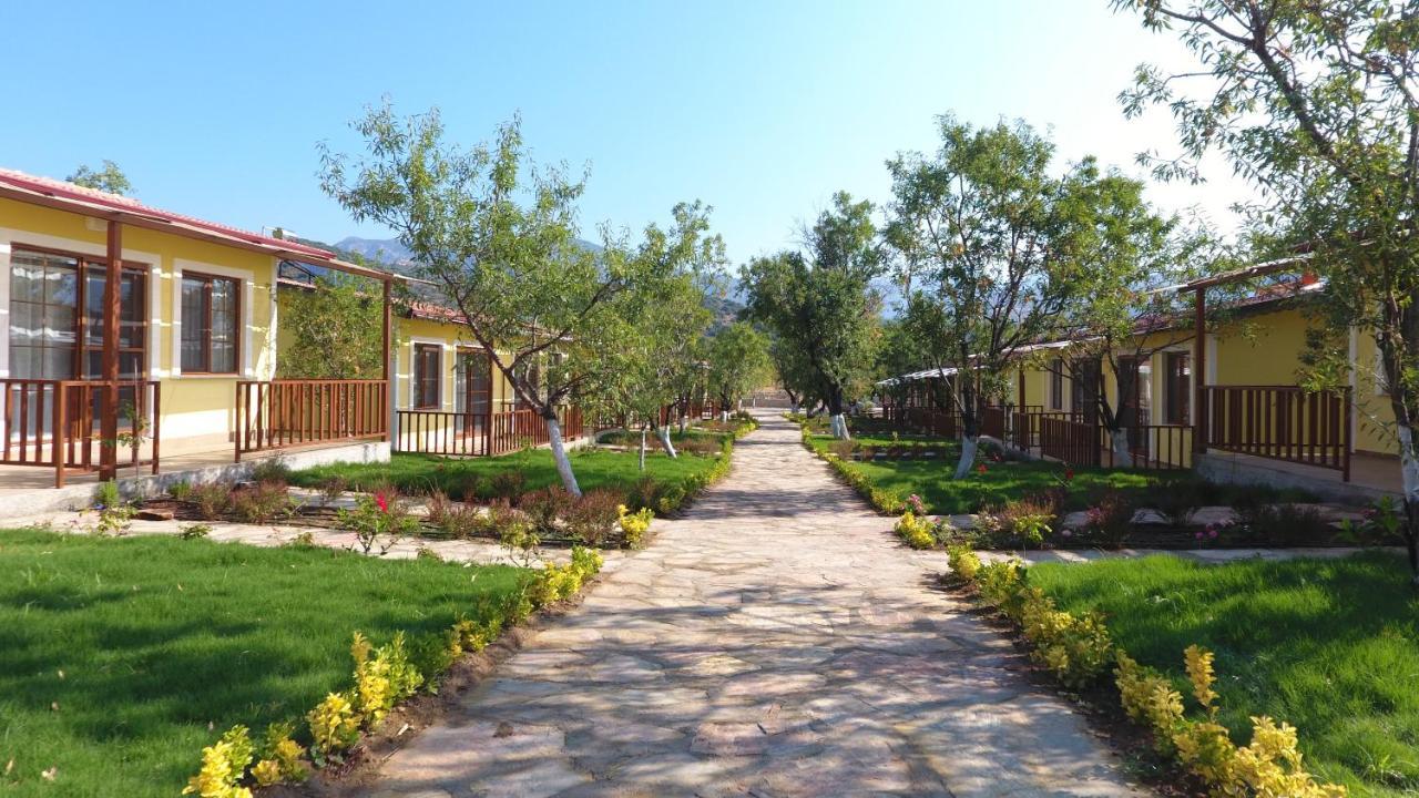 Hotel Selerdoga Evleri à Palamutbuku Extérieur photo